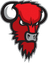 Bisons Loimaa